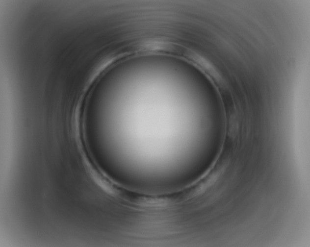X0000114441039200910161351