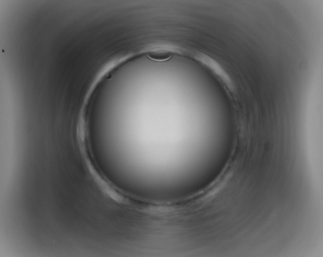 X0000114441040200910161351