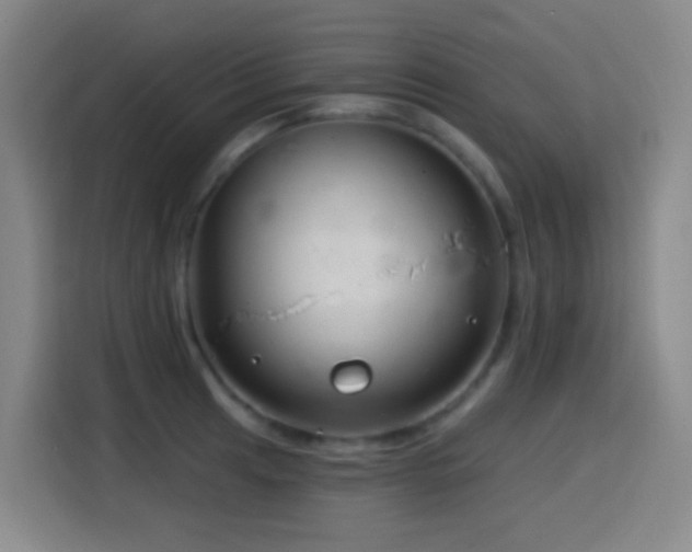 X0000114441041200910161351