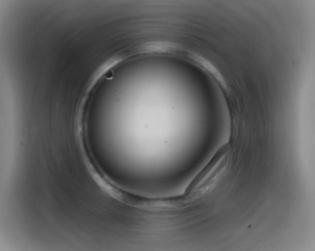 X0000114441042200910161351