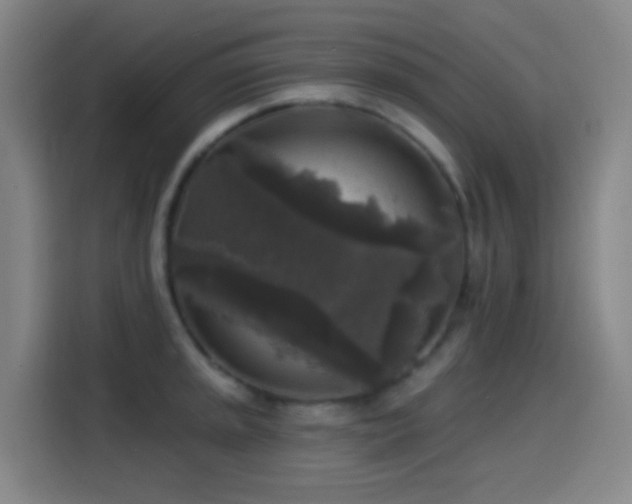 X0000114441045200910161351