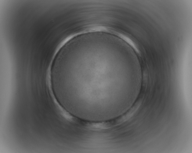X0000114441047200910161351