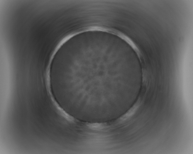 X0000114441048200910161351