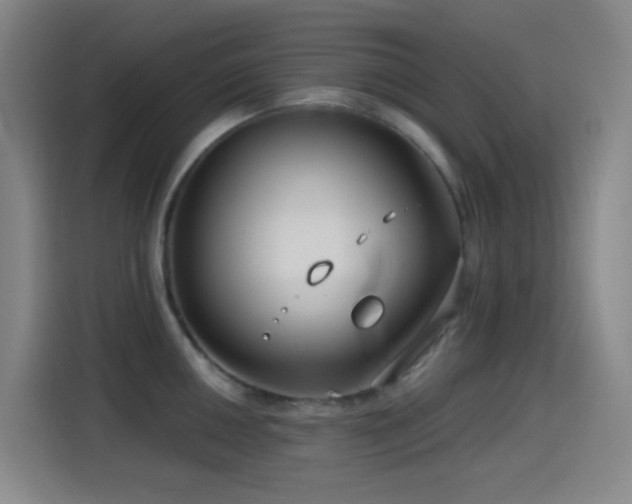X0000114441050200910161351