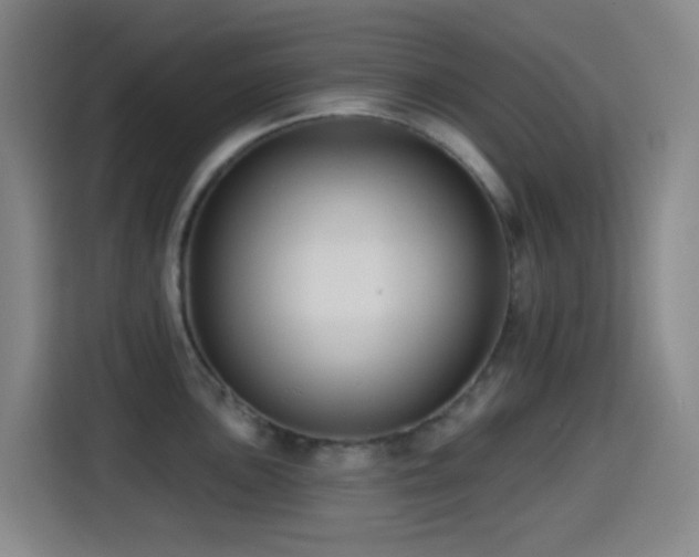 X0000114441051200910161351