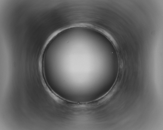 X0000114441054200910161351