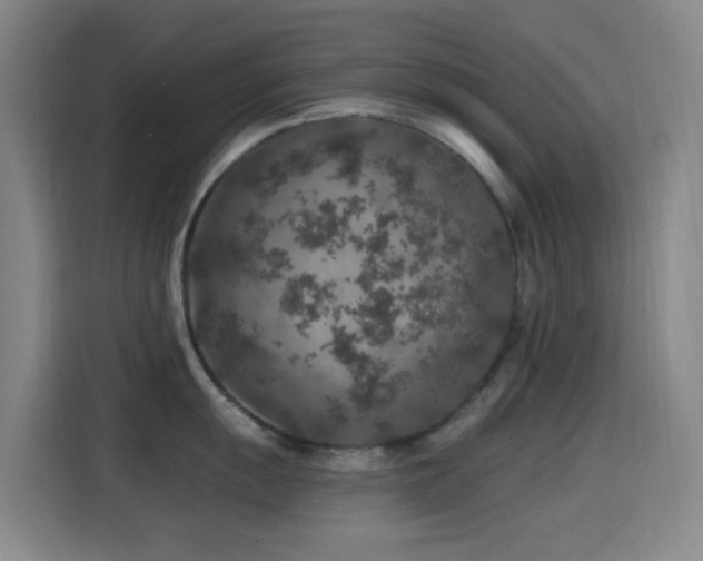 X0000114441055200910161351