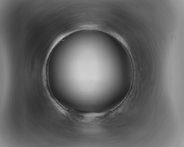 X0000114441056200910161351