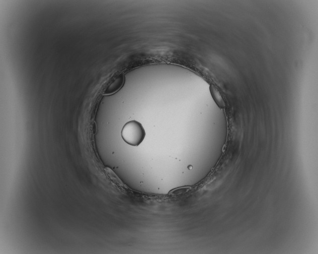 X0000114441057200910161351