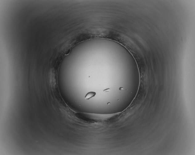 X0000114441058200910161351