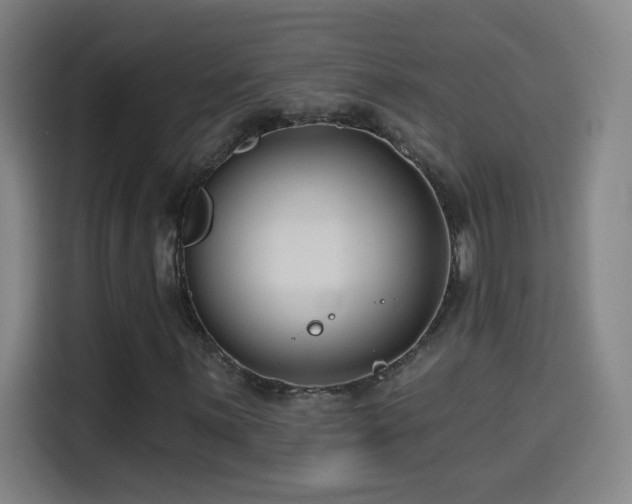 X0000114441059200910161351