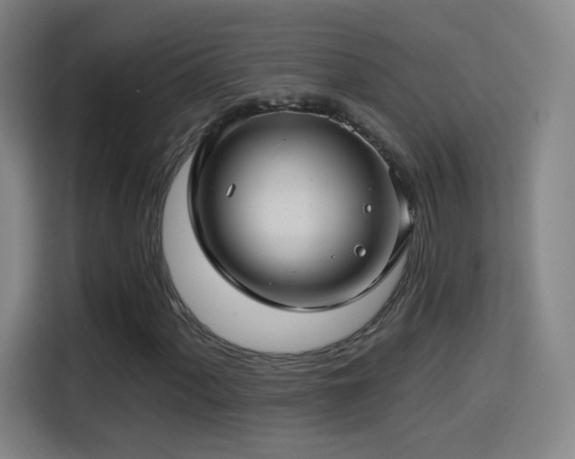 X0000114441060200910161351