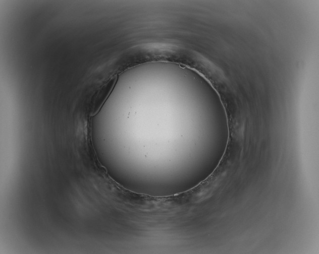 X0000114441061200910161351