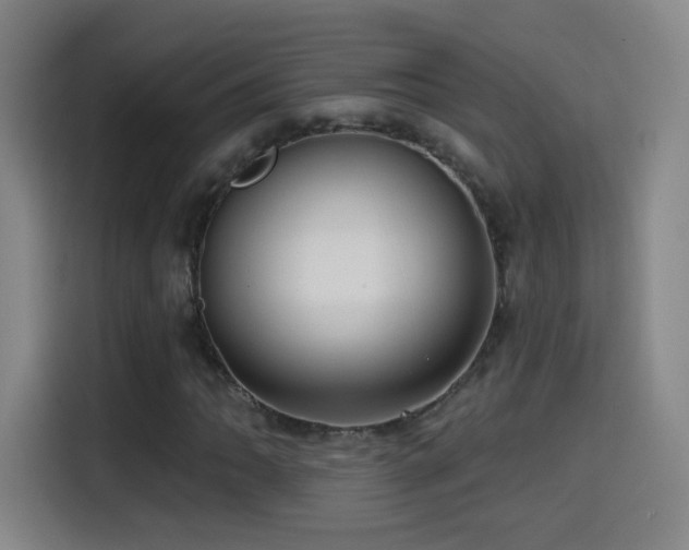 X0000114441062200910161351