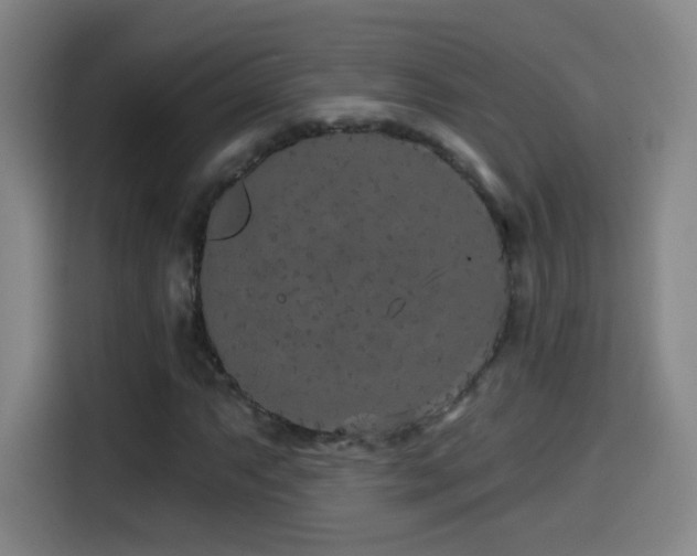 X0000114441063200910161351