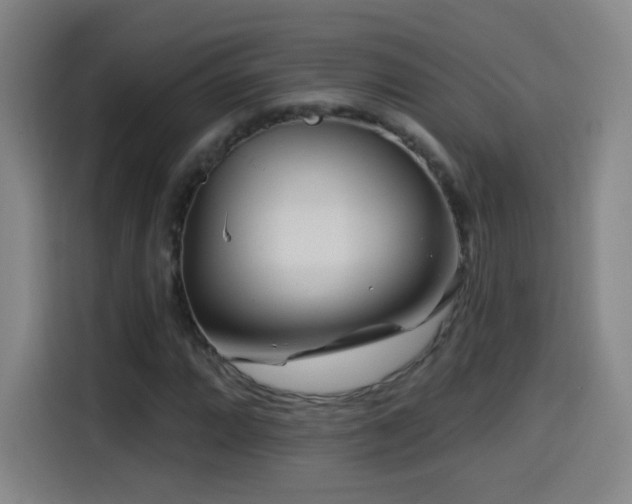 X0000114441064200910161351