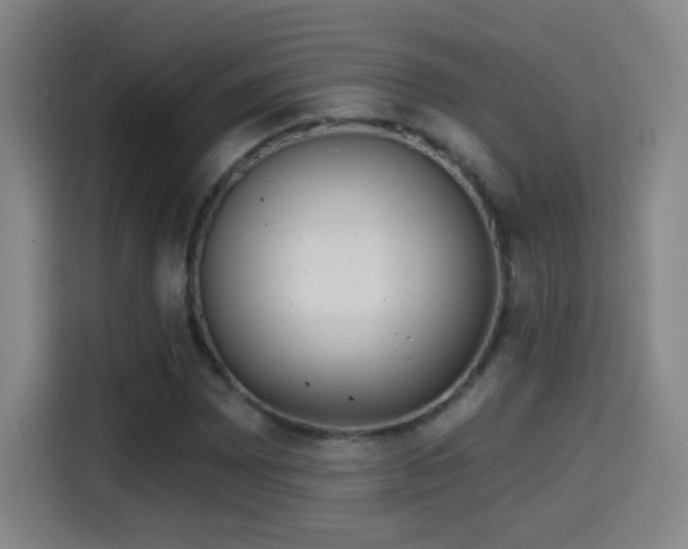 X0000114441065200910161350