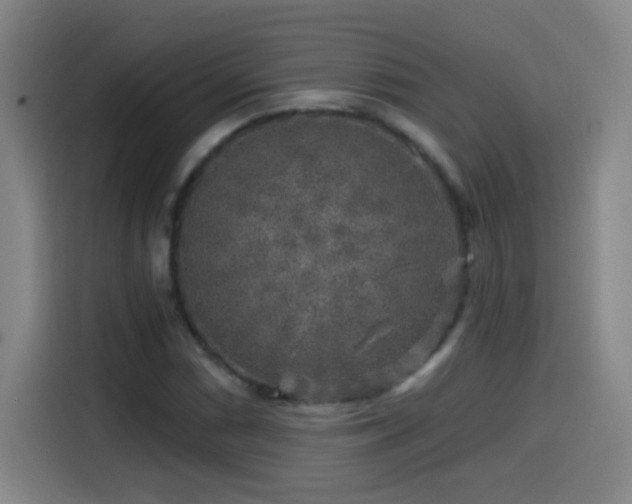 X0000114441066200910161350