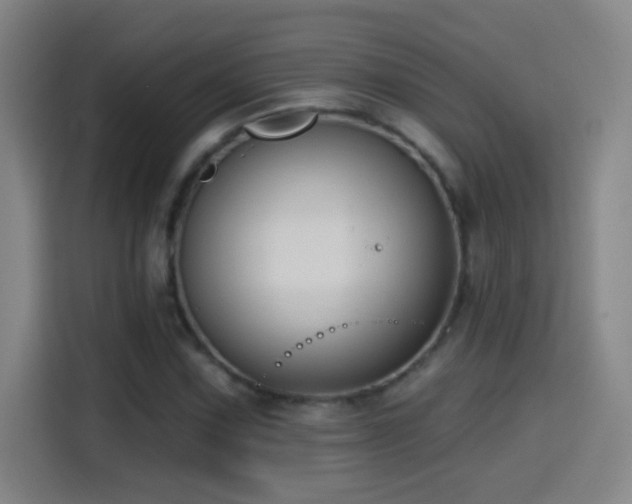 X0000114441067200910161350