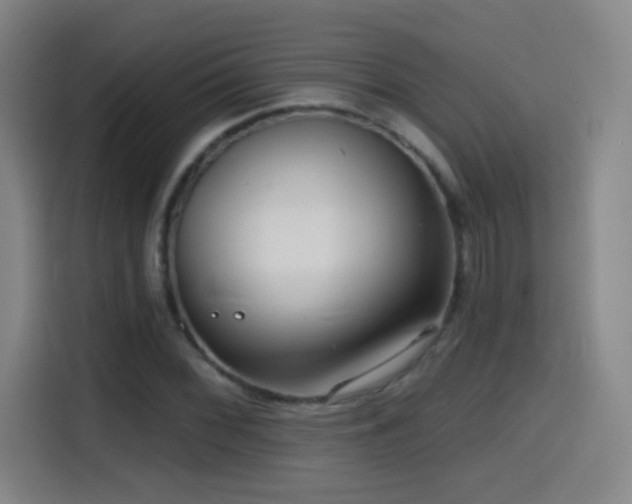 X0000114441068200910161350