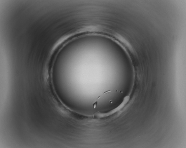 X0000114441070200910161350