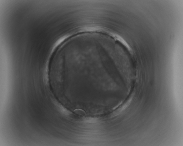 X0000114441071200910161350