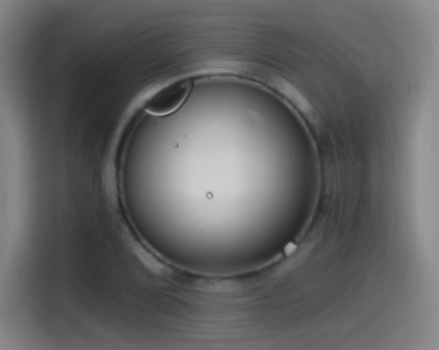 X0000114441072200910161350