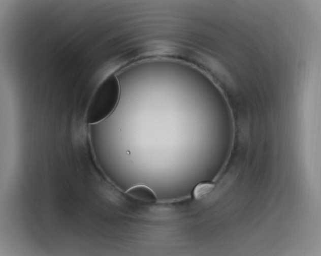 X0000114441073200910161350