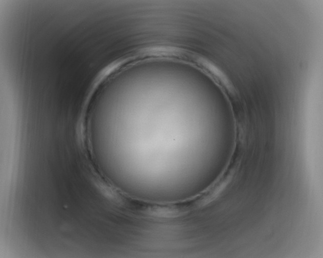X0000114441074200910161350