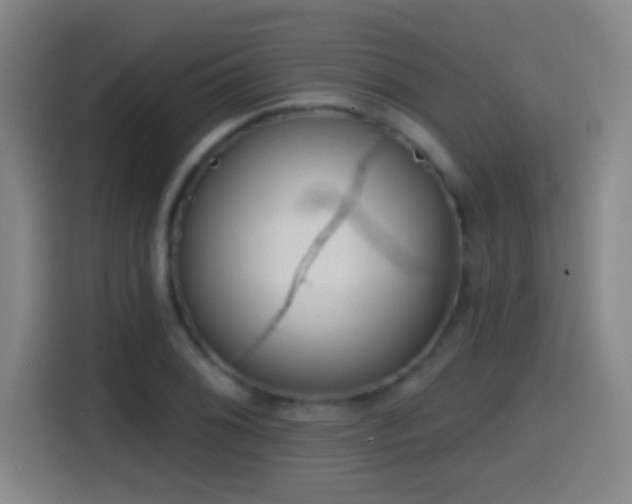 X0000114441076200910161350