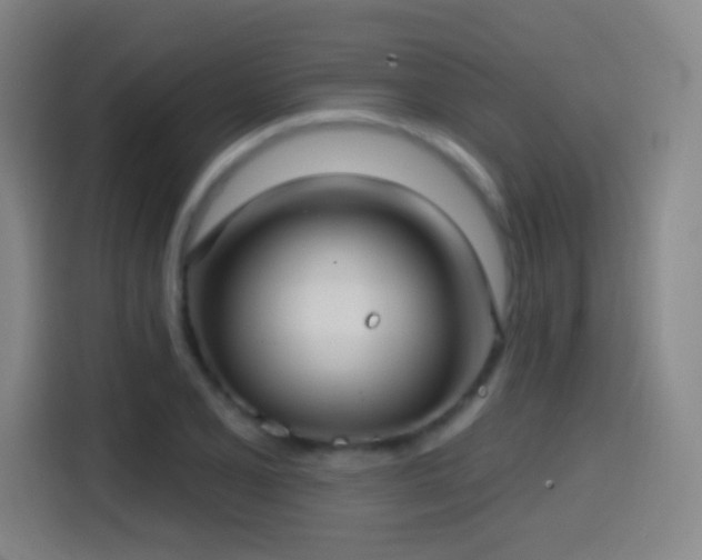 X0000114441077200910161350