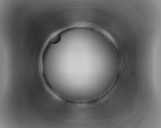 X0000114441080200910161350