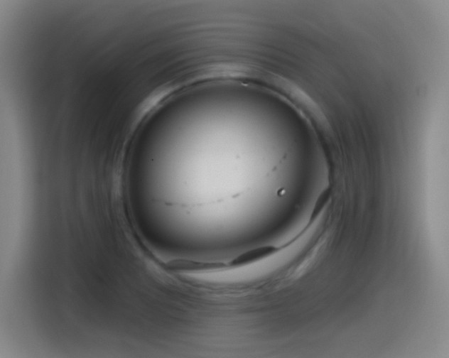 X0000114441081200910161350