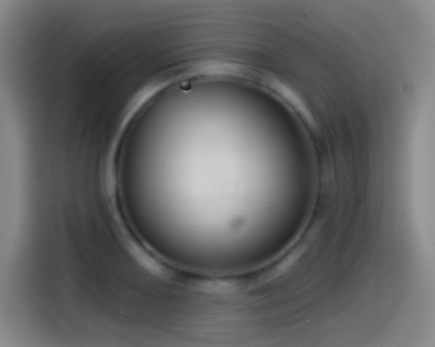 X0000114441082200910161350