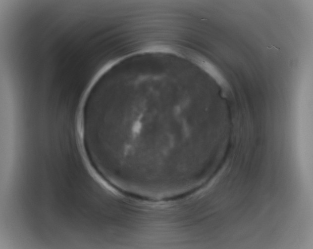 X0000114441084200910161350