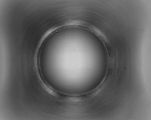X0000114441086200910161350