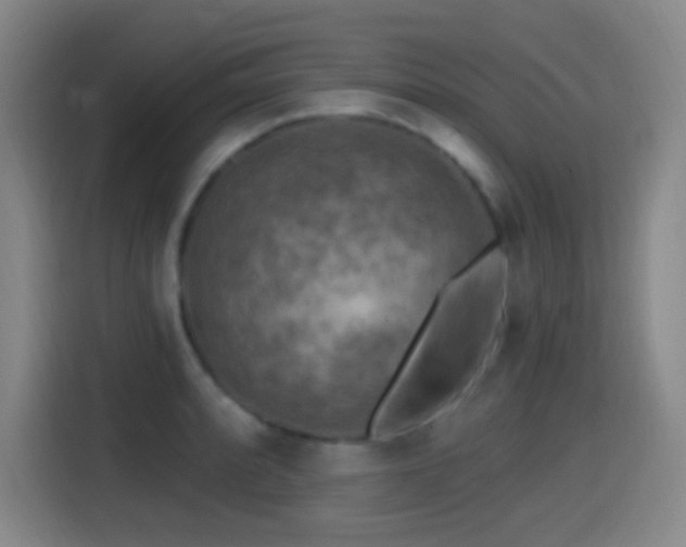X0000114441088200910161350