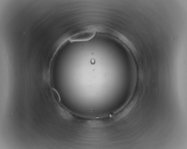 X0000114441089200910161350