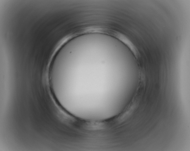 X0000114441090200910161350