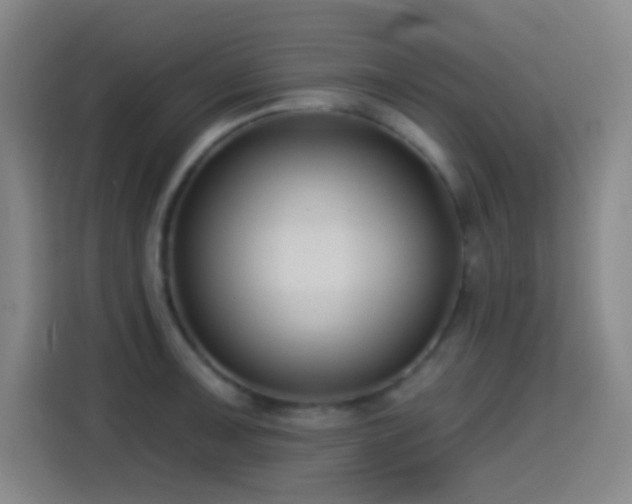 X0000114441091200910161350