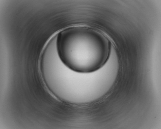 X0000114441092200910161350