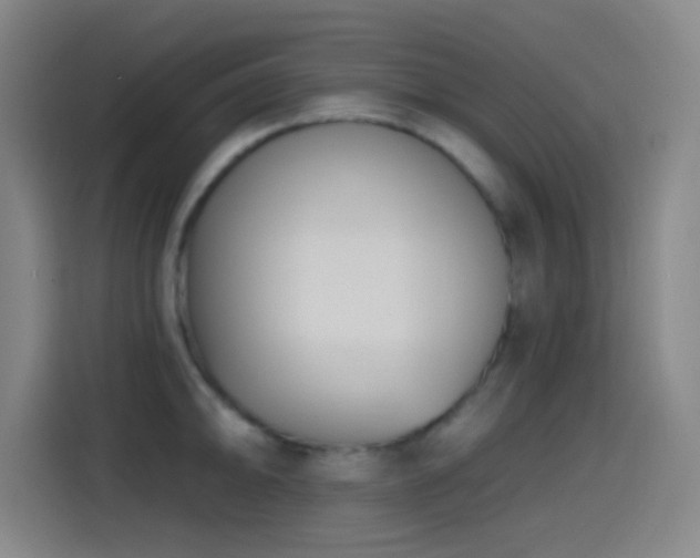 X0000114441094200910161350