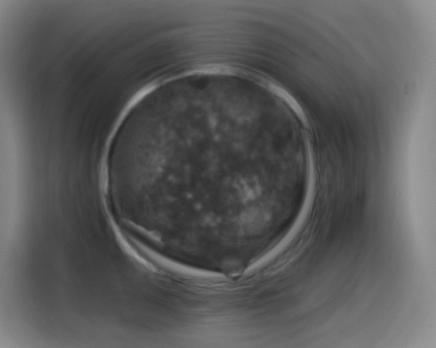 X0000114441095200910161350