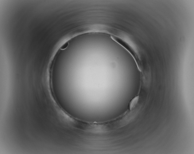 X0000114441096200910161350