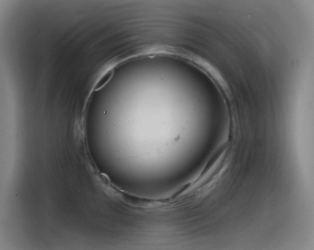 X0000114441097200910161350