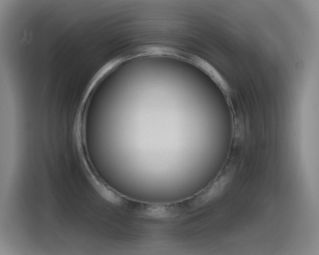 X0000114441098200910161350