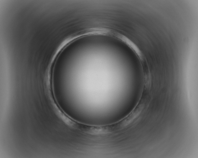 X0000114441099200910161350