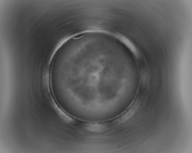 X0000114441100200910161350