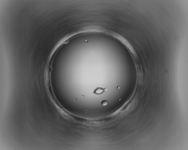 X0000114441101200910161350