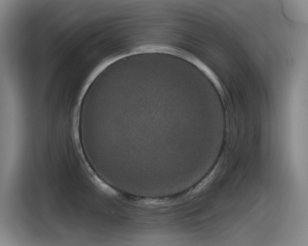 X0000114441102200910161350